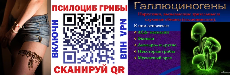Купить закладки  Верещагино  Псилоцибиновые грибы Psilocybine cubensis 